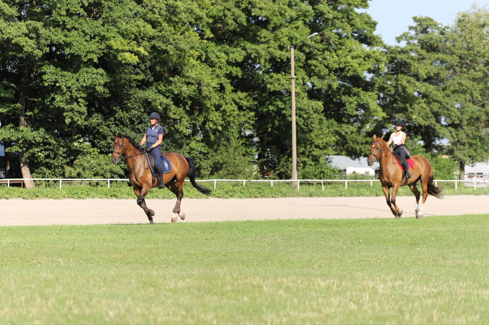 Trial lesson image